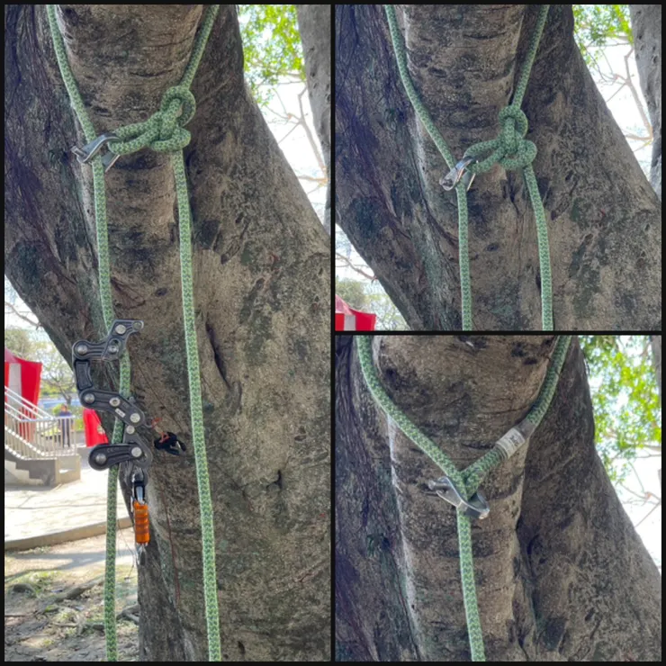 頂部固定點-使用D型插捎扣