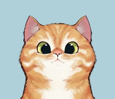 擁有整個下午的貓貓的沙龍