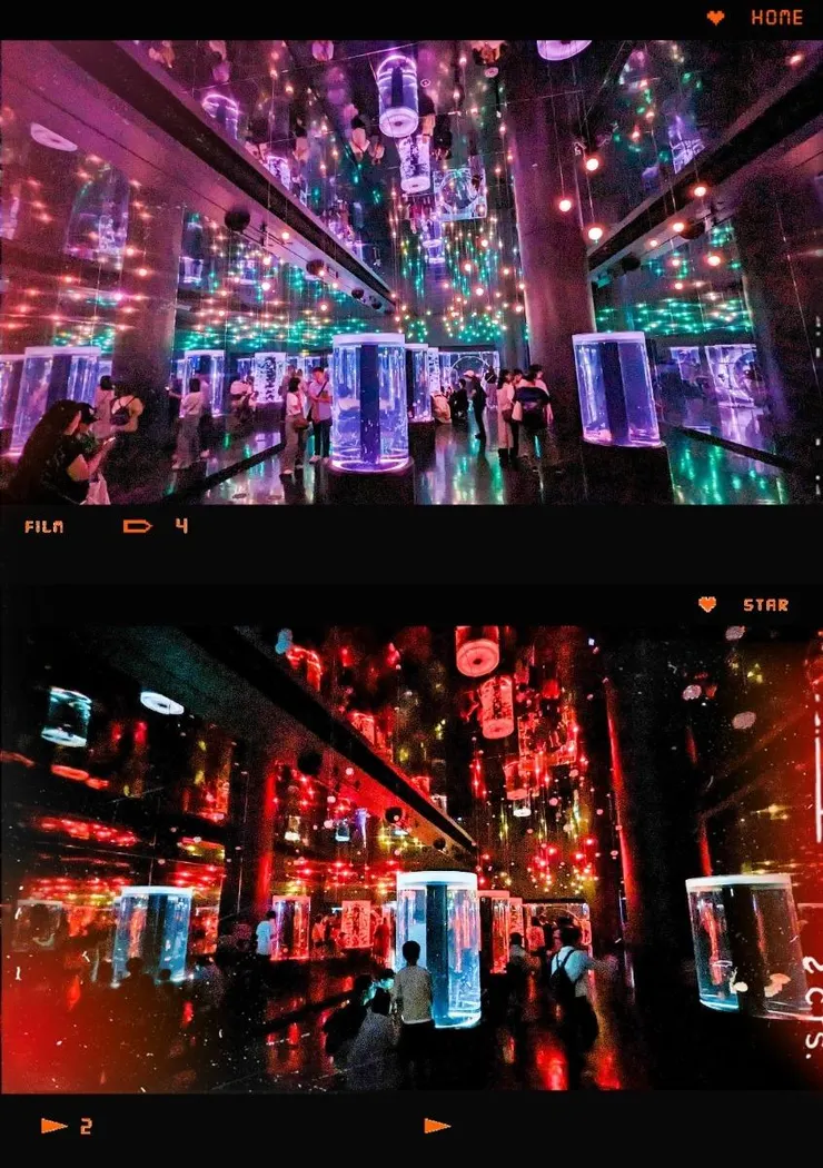 教人看得眼花撩亂，驚呼連連的水母展示區。