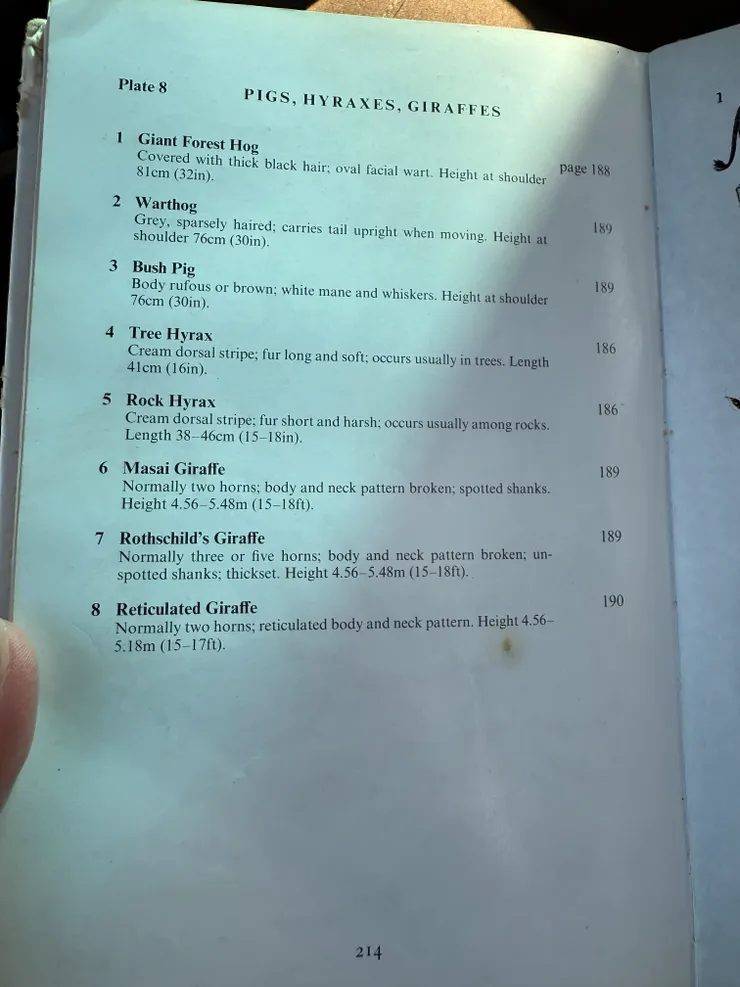 6.7.8是記錄這裡看得到的三種長頸鹿