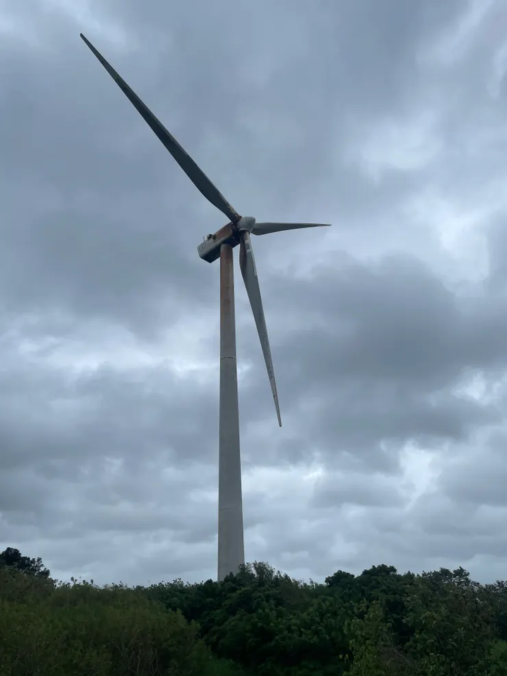 白雲橋後的風車