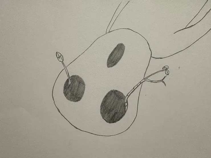 衰亡的背後是新生