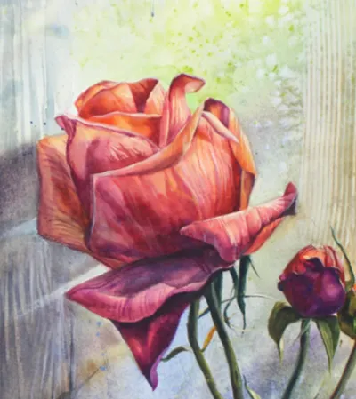 What's Miao Ma Reads