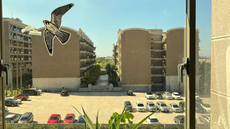 新的窗景-遊隼與愛的道路