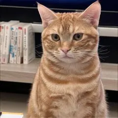 理財貓奴Roy的沙龍