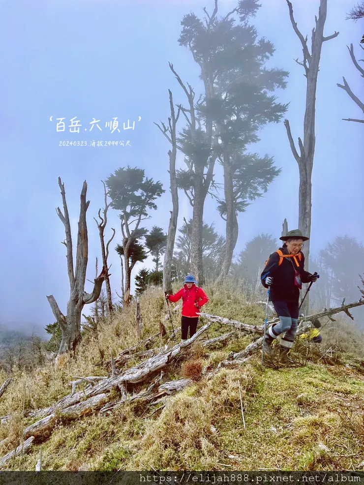 【丹大林道.六順山.七彩湖】六順山.海拔3009公尺/波波草