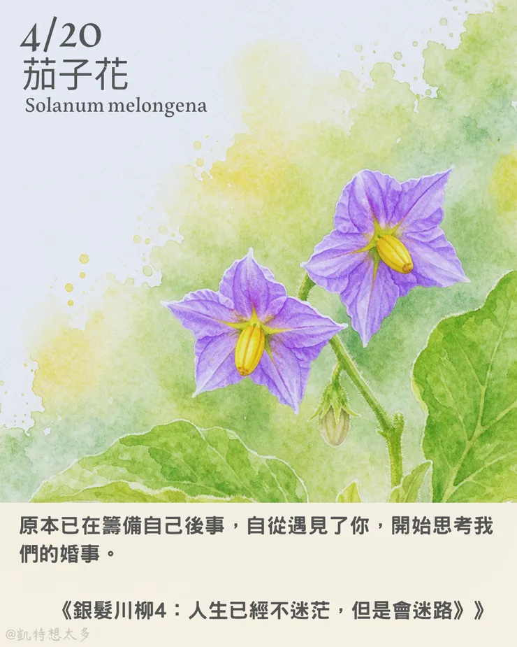 《銀髮川柳4：人生已經不迷茫，但是會迷路》