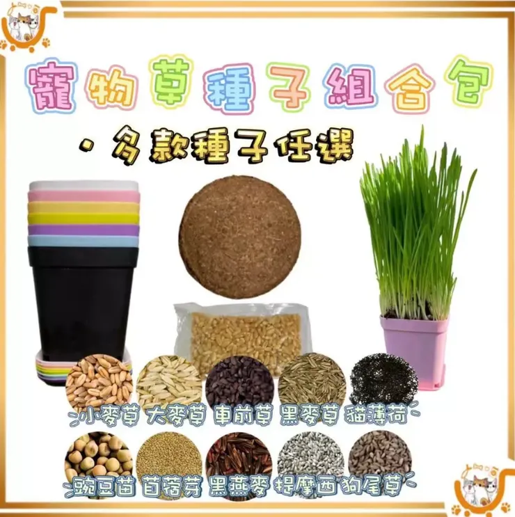 寵物草種子組合包