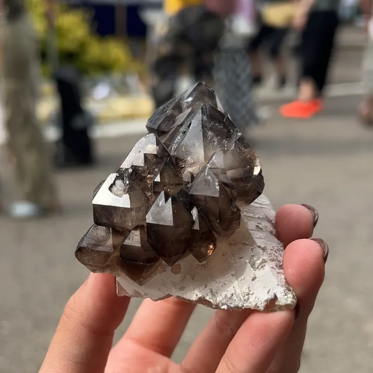 巴西帶母岩的骨幹煙水晶(城堡水晶)