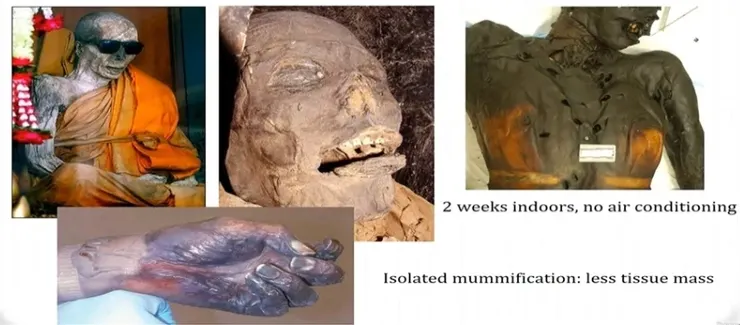 Mummification