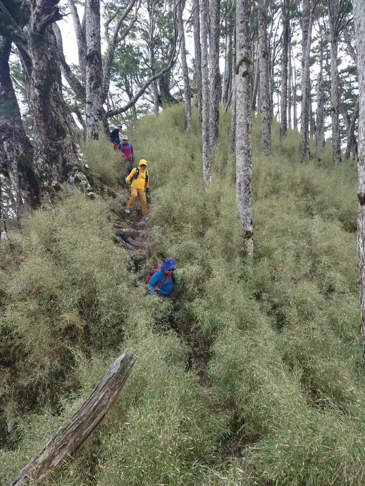 回營地路上遇到阿北阿姨商業團要去甘藷峰路上，大約是下午2點多，他們一定會摸黑