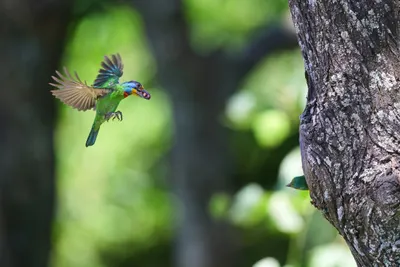 愛在果實間傳遞