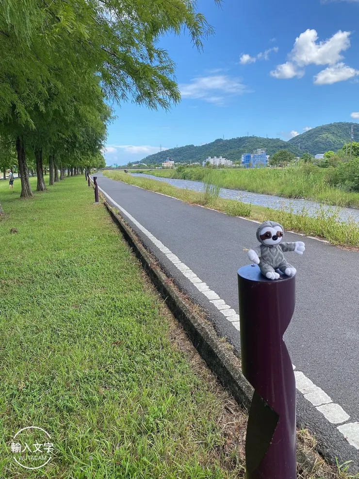 被許多人比喻為歐洲的落羽松林，確實很好拍