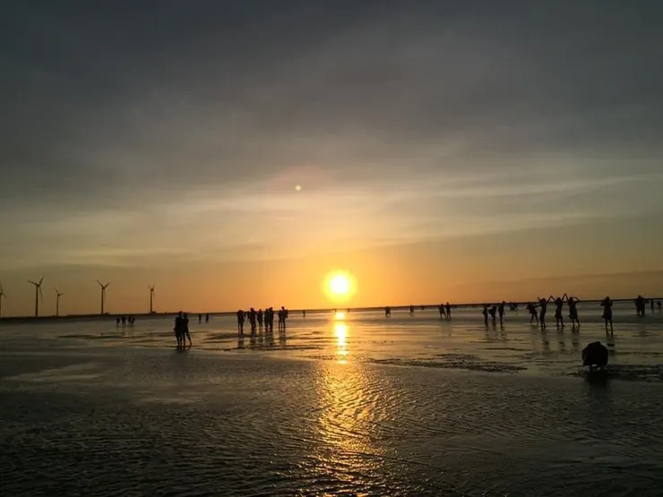 高美濕地夕陽
