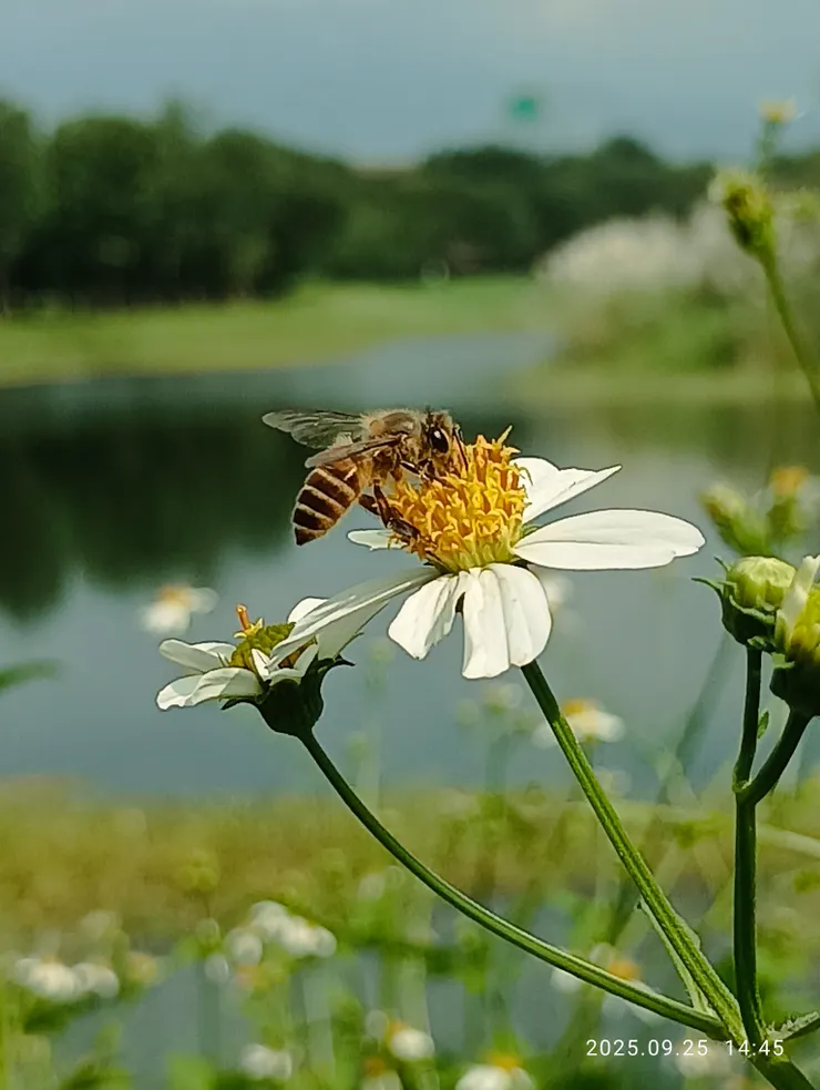 共此時意愜情濃，自拍攝