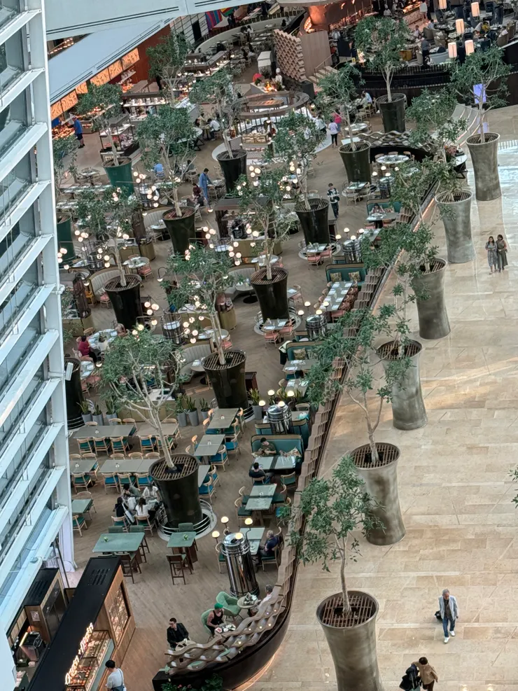 隨處可見的綠葉植物