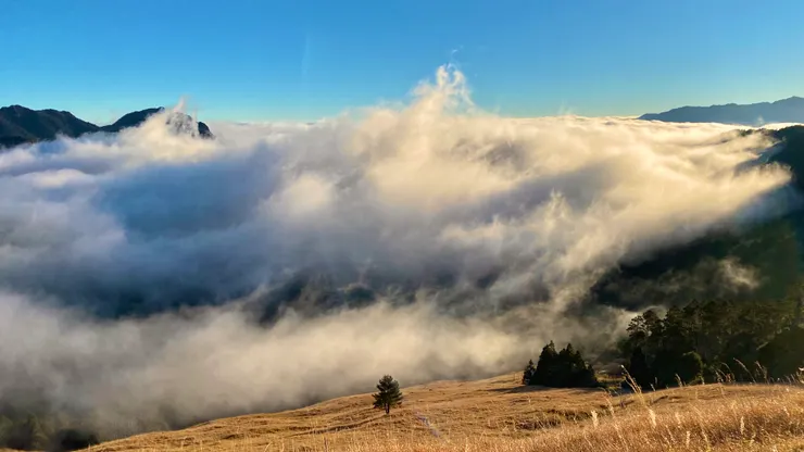雪山三六九草原 · 大寒 攝影|吳星瑩 Xueshan, Taiwan · Greater Cold Captured by Singing Wu