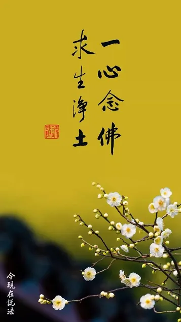 佛號梵唄 : 一向專念 阿彌陀佛 求生淨土