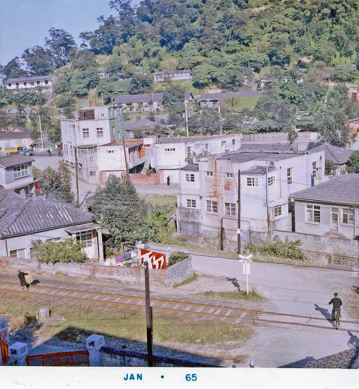 從陽台向左望去，是前一張照片中的同一座山丘（蟾蜍山），公寓外就是鐵軌（萬新鐵路）