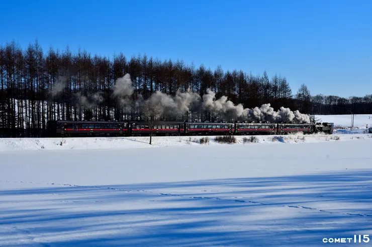 古早味十足的蒸汽火車行駛在冰雪世界，但嚴酷的氣候其實也相當考驗鐵路的經營