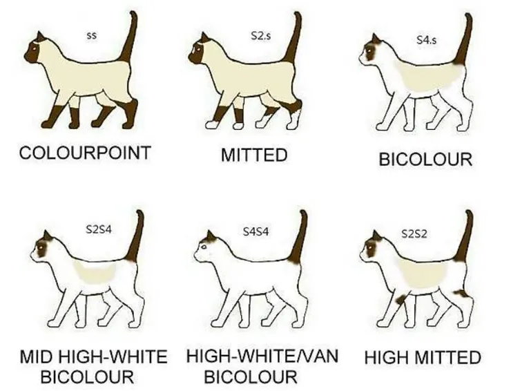 資料來源: https://a468520.pixnet.net/blog/post/129688325 