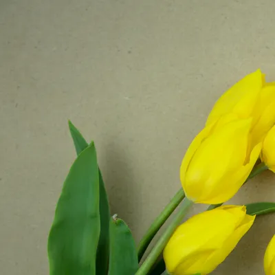 人生整斷室｜陪你療癒人生整段事