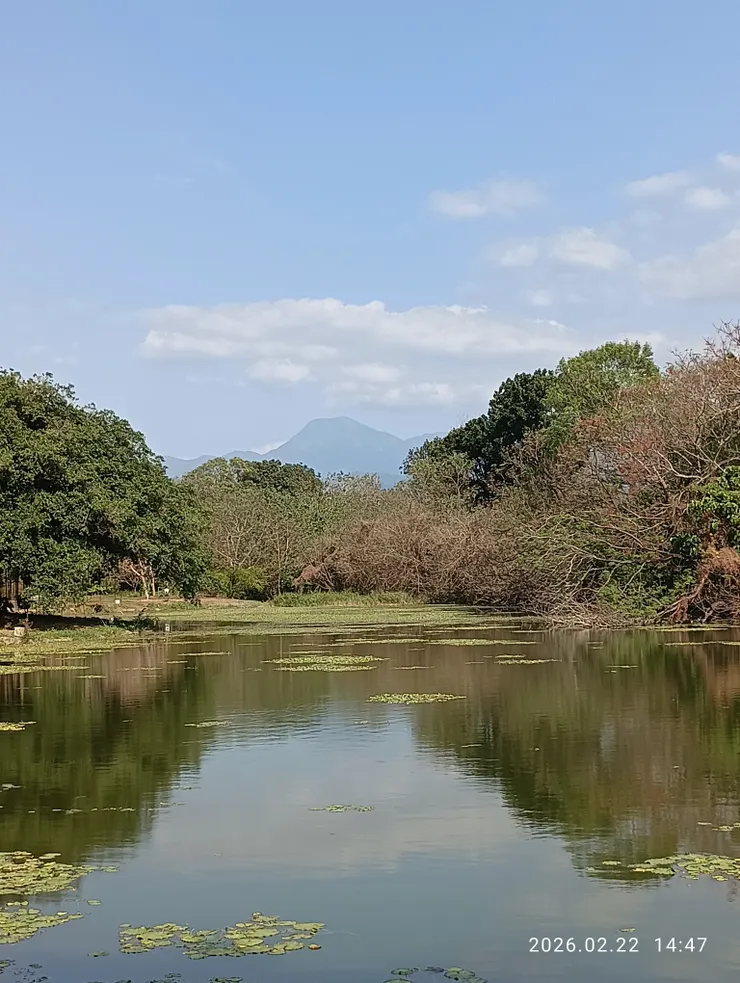 一山春色，皆自拍攝