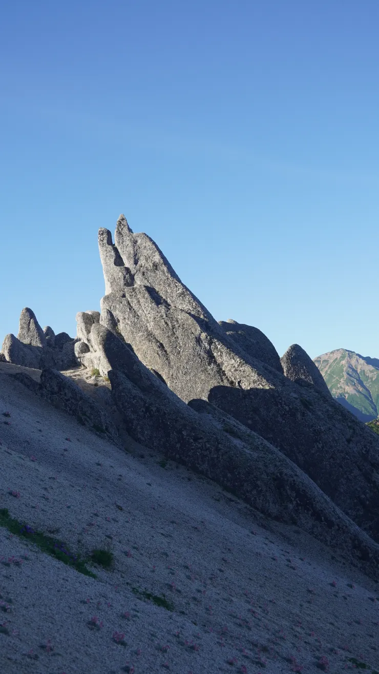這隻海豚真是維妙維肖