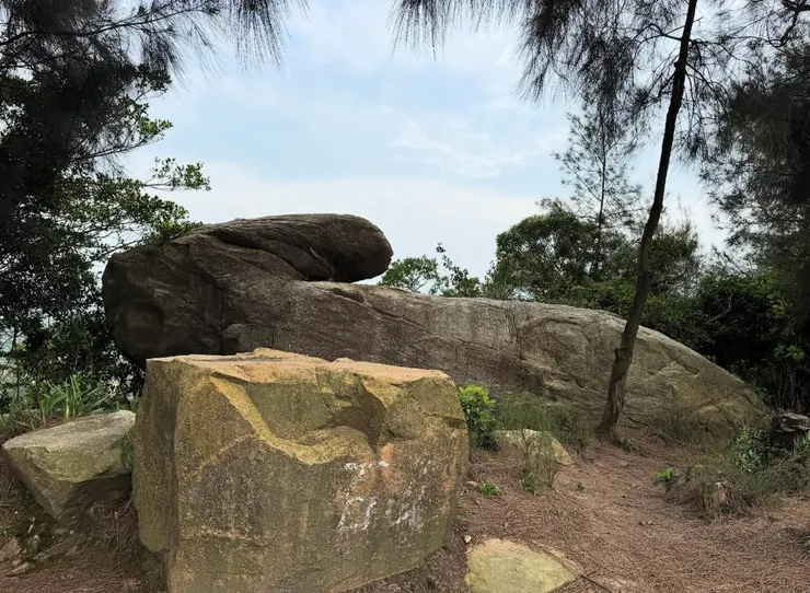 石頭的形狀酷似玉兔，十分可愛