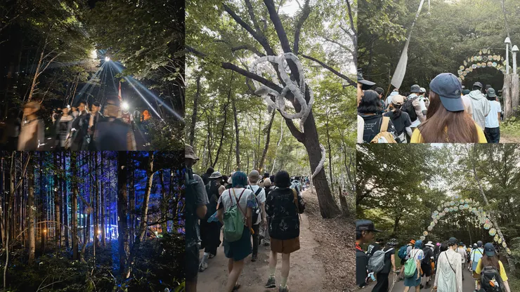 森林裡的各種佈置