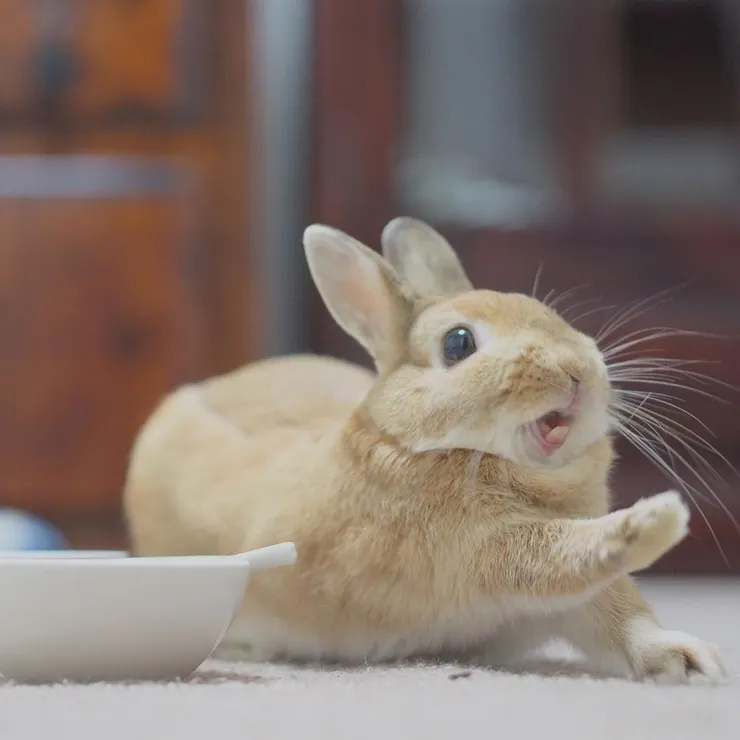 來源：usausausa1201@IG