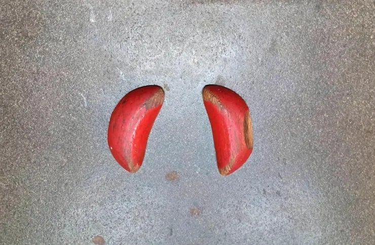 陰杯。圖/李明真拍攝