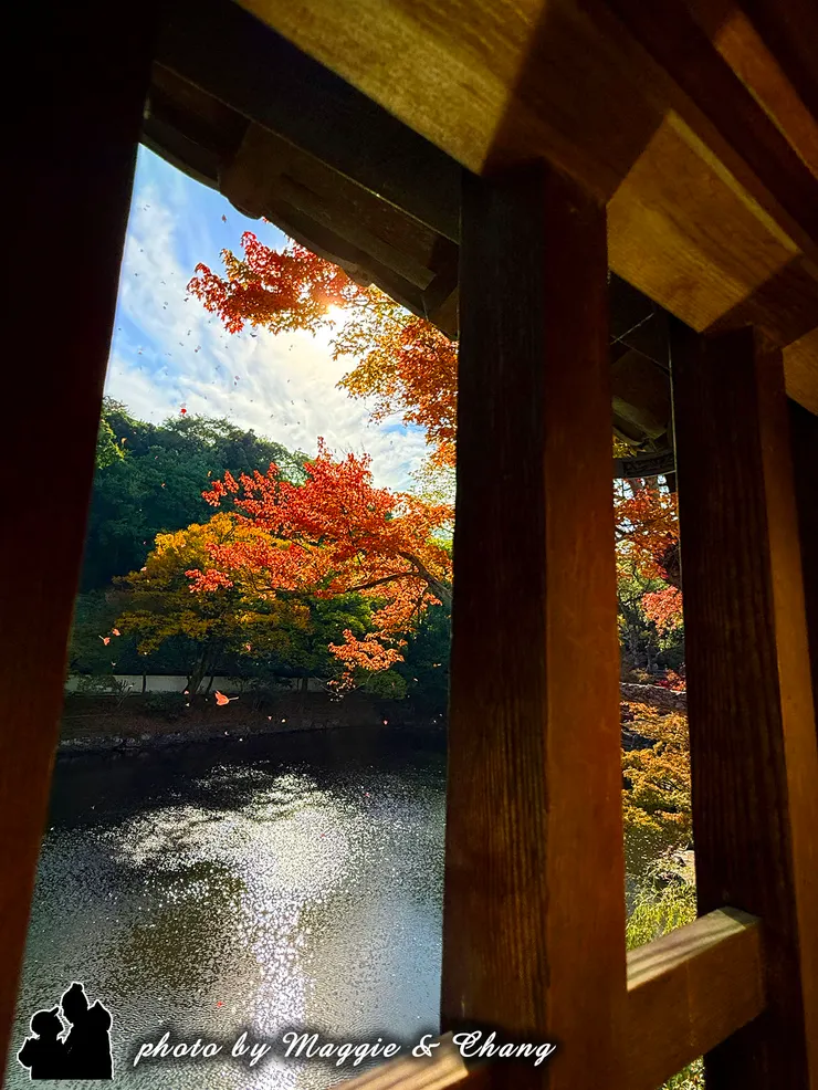 長廊窗外美得像一幅畫