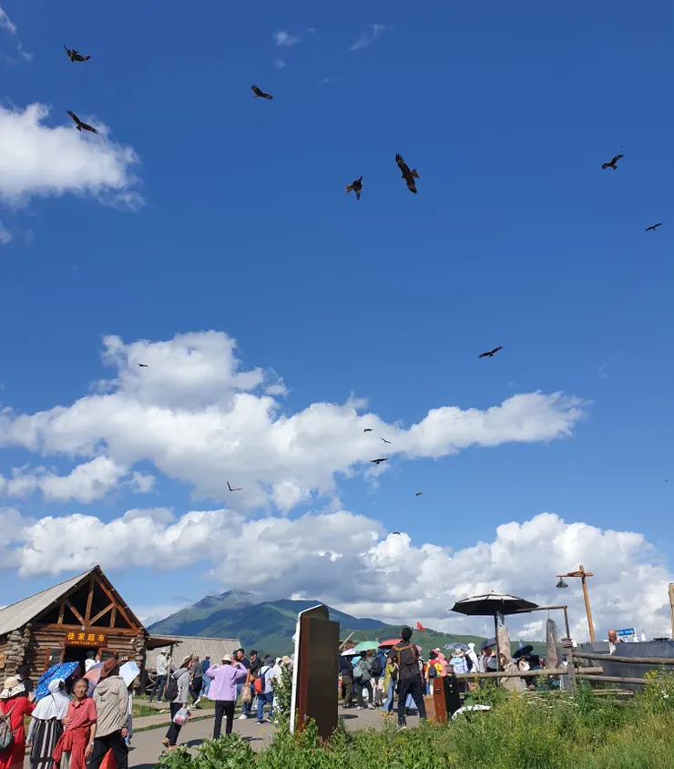 天空好多老鷹盤旋，因為有店家往天空拋丟碎羊肉，因而有此奇觀
