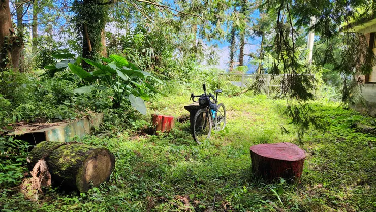 回路口工寮吃午餐