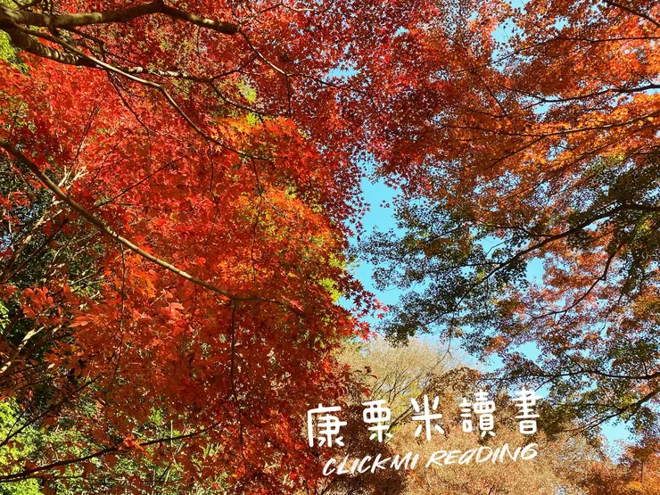 滿山遍野的紅葉
