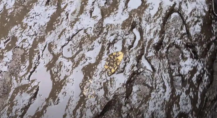 泥濘吃掉某人的鞋底。Photo: Zora @ Wacken Open Air Infield. Jul. 30, 2025.