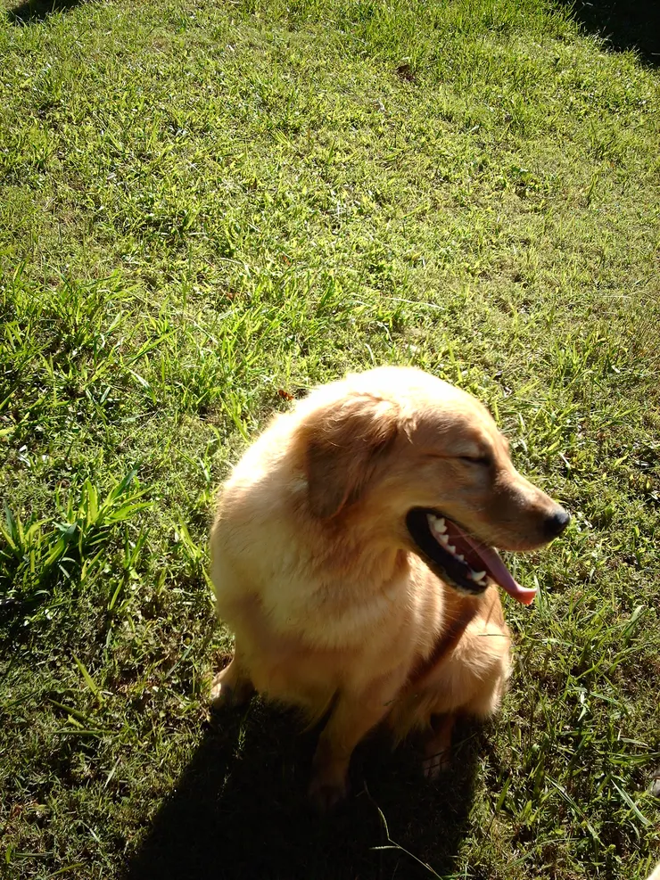 娜！（你不覺得她真的在笑麼？）