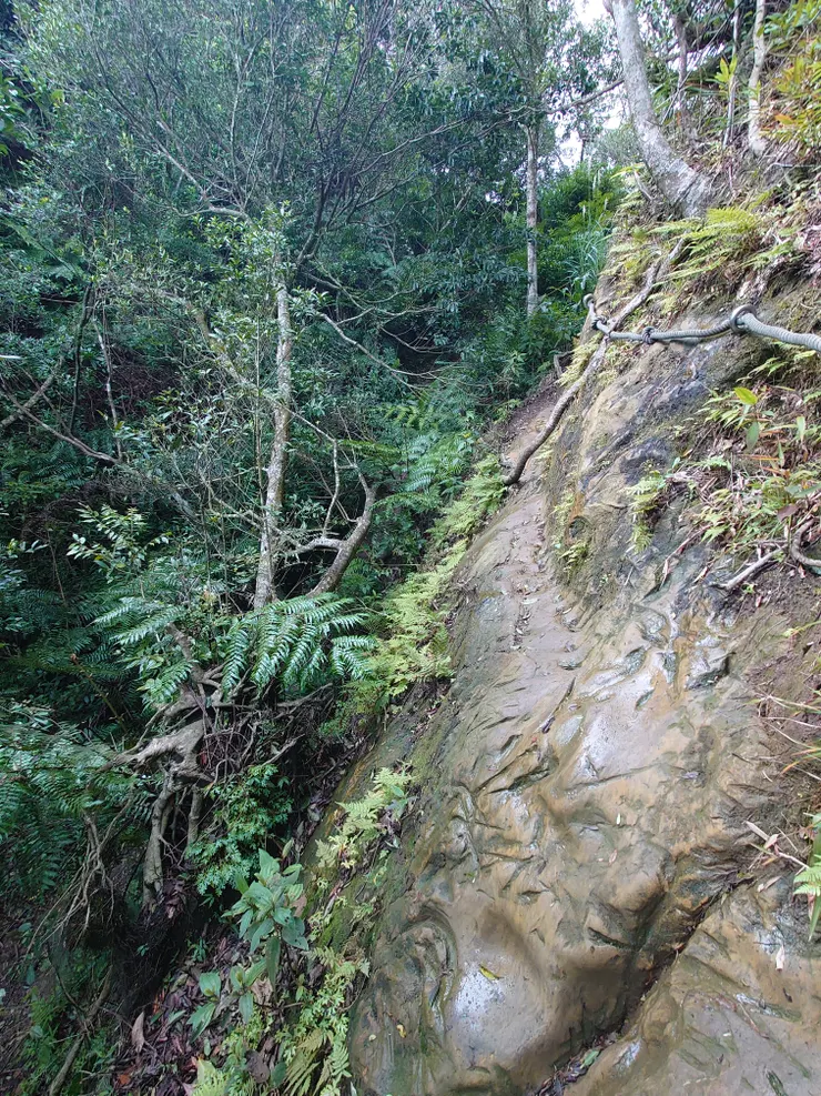 又一處橫渡，走到對面看到有一處腰繞，但路況看起來沒有比較好走