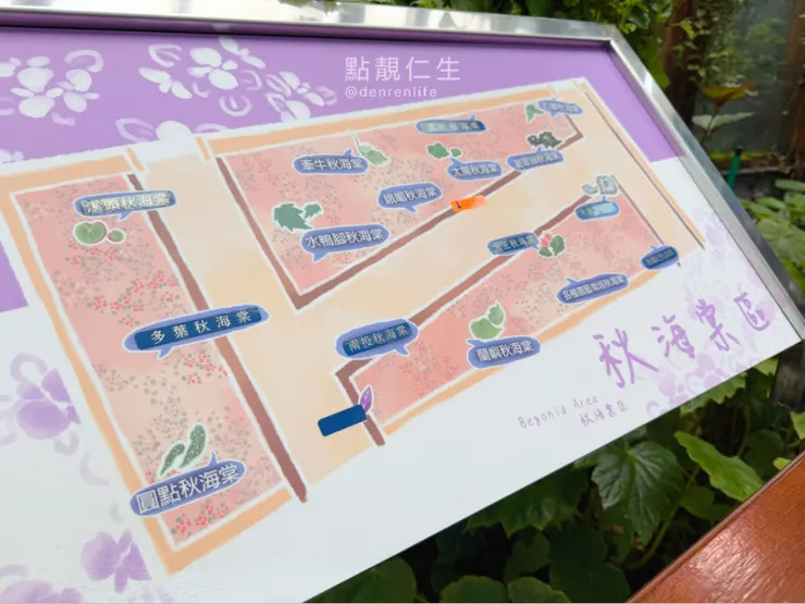 秋海棠區｜台北典藏植物園