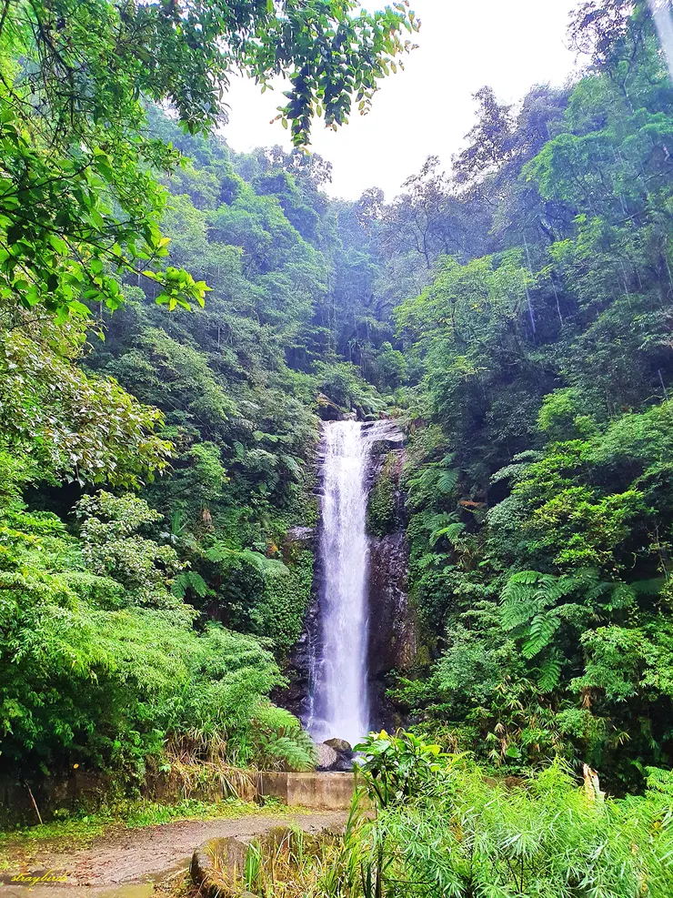 高約4層樓的桶後瀑布