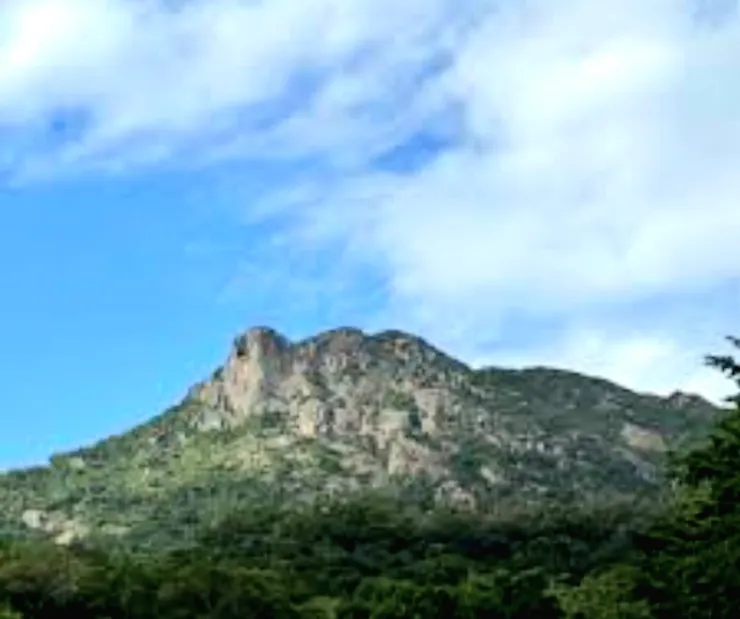 九龍獅子山頂峰（取材自網路資訊）