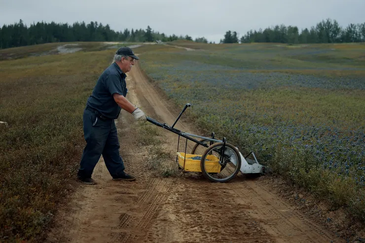 （圖／《莓好時光》電影劇照；台灣國際紀錄片影展提供）