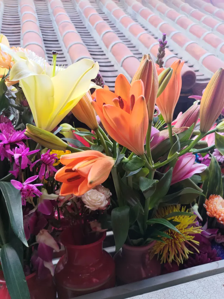 各種顏色的百合花