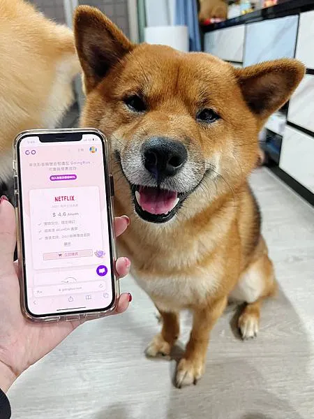 【平台】GoingBus 串流媒體共乘平台｜帳號共享合租，N