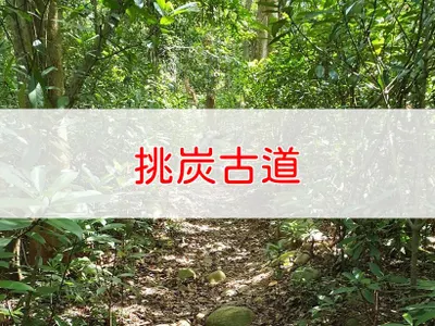 [苗栗]挑柴古道｜勝興車站旁輕鬆環狀步道，桐花秘境與百年歷史一次走訪