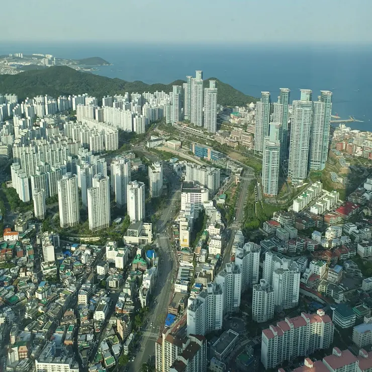 望向青沙埔的方向