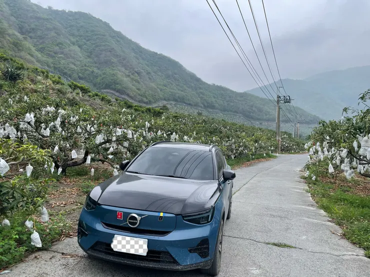 回程和滿滿的芒果拍一張