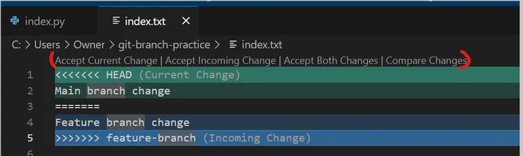可以選擇，要接受哪一個版本或是兩個都接受/拒絕