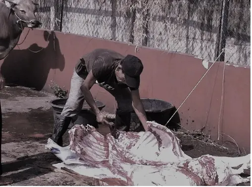 現場有點血腥 畫面特別處理過